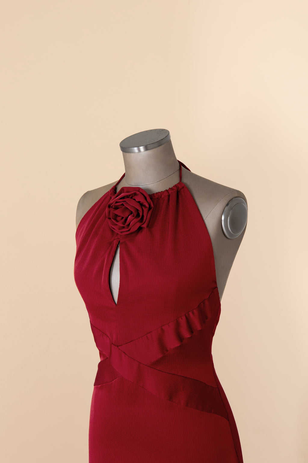 Chrysanthemum - Lady Pipe