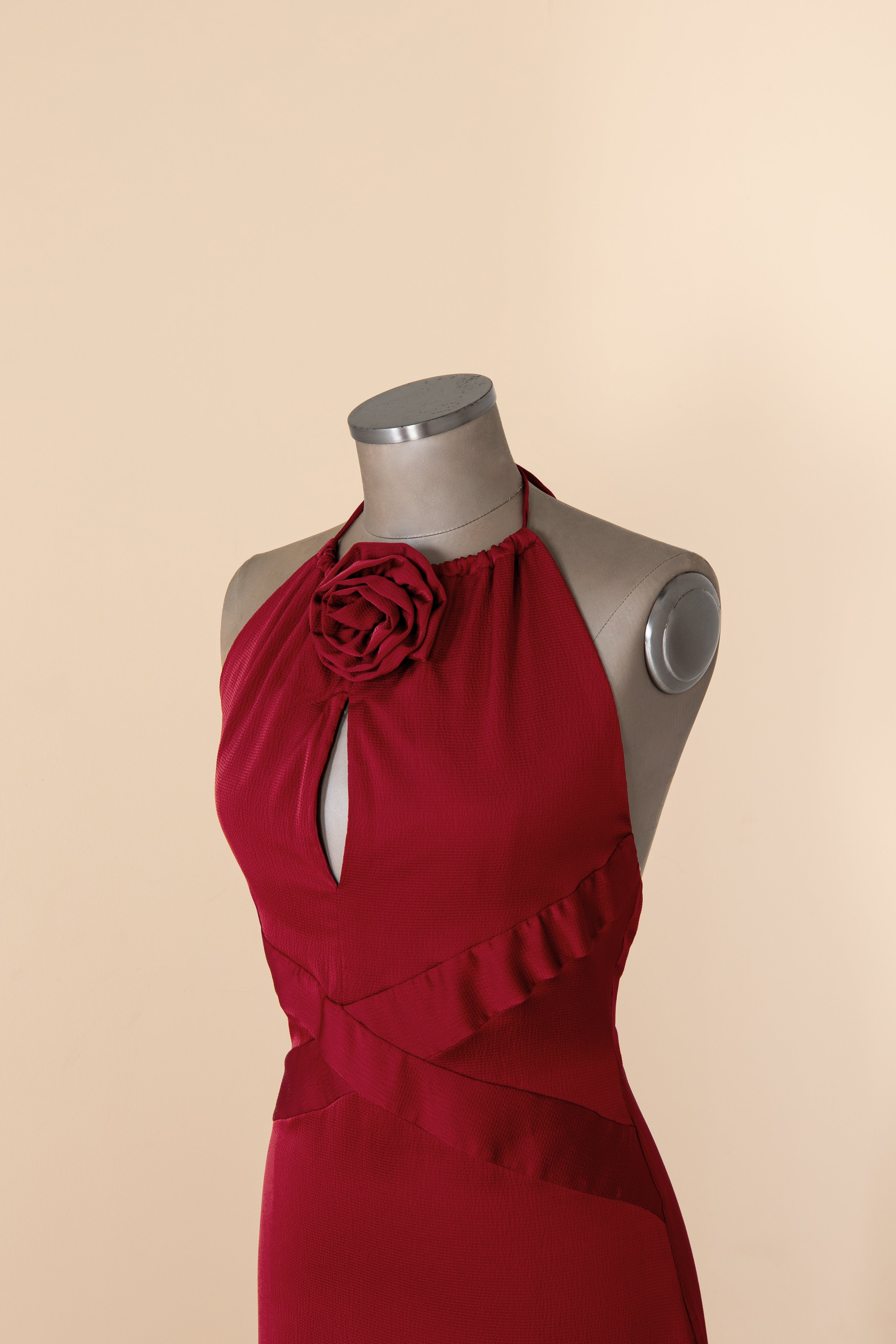 Chrysanthemum - Lady Pipe