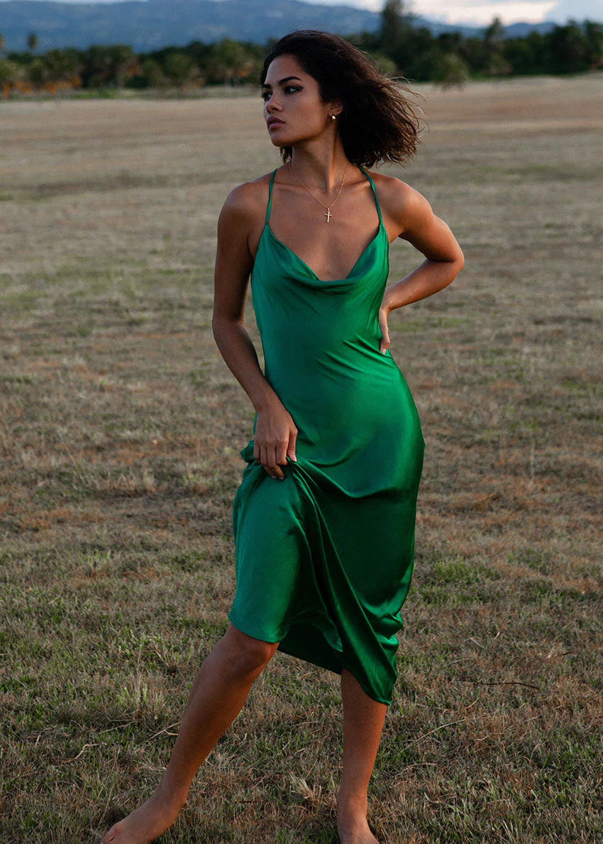 Sunflower - Rat & Boa