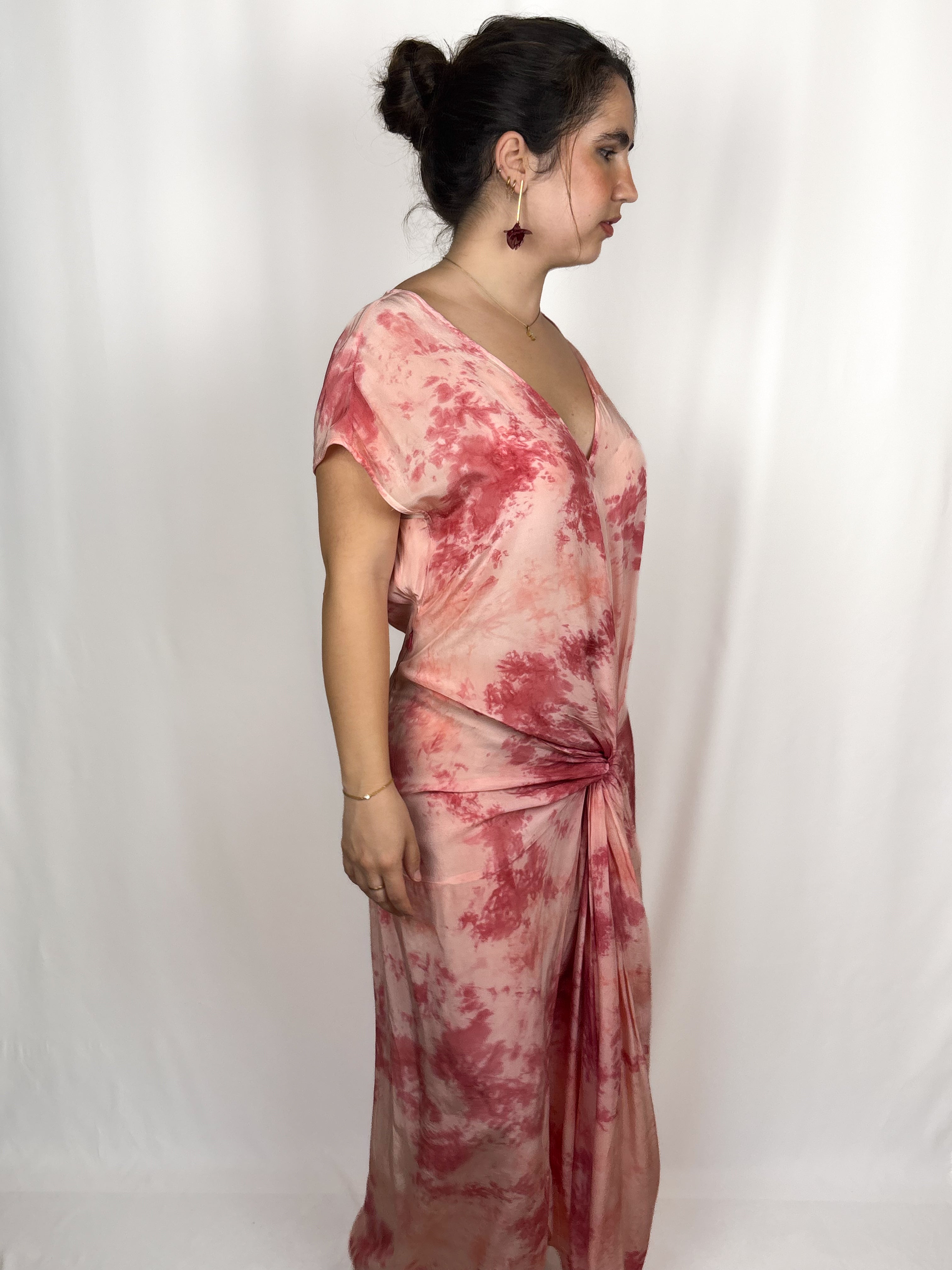 Phlox - Hoss Intropia